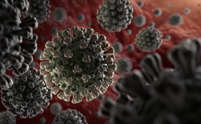 Types of Coronavirus Explained