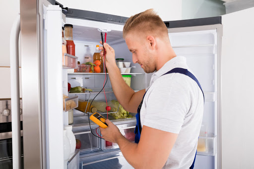 Common Refrigerator Repair Issues