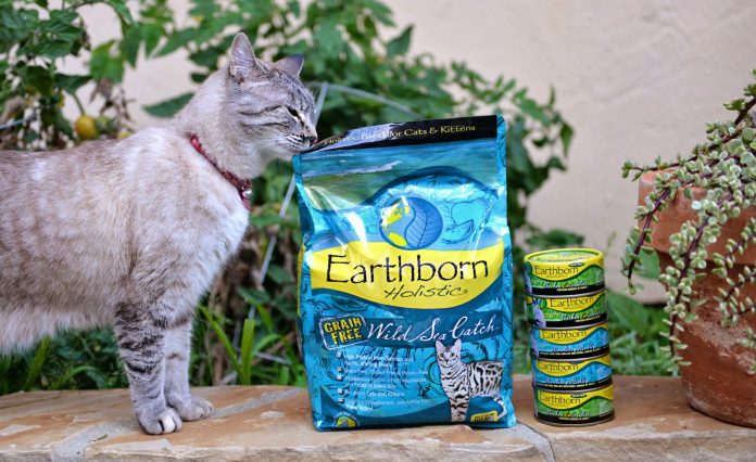 What is Cat Food? | Types of High Protein Cat Food